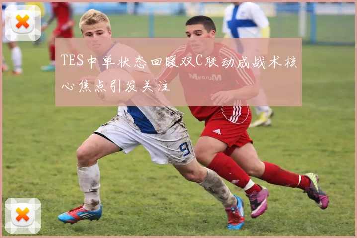 TES中单状态回暖双C联动成战术核心焦点引发关注